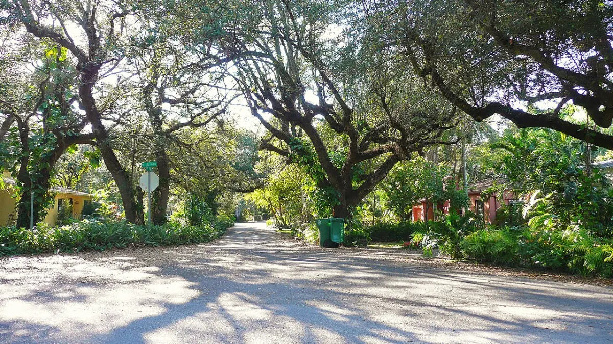 A quiet El Portal street shaded by a heavy canopy of oak trees