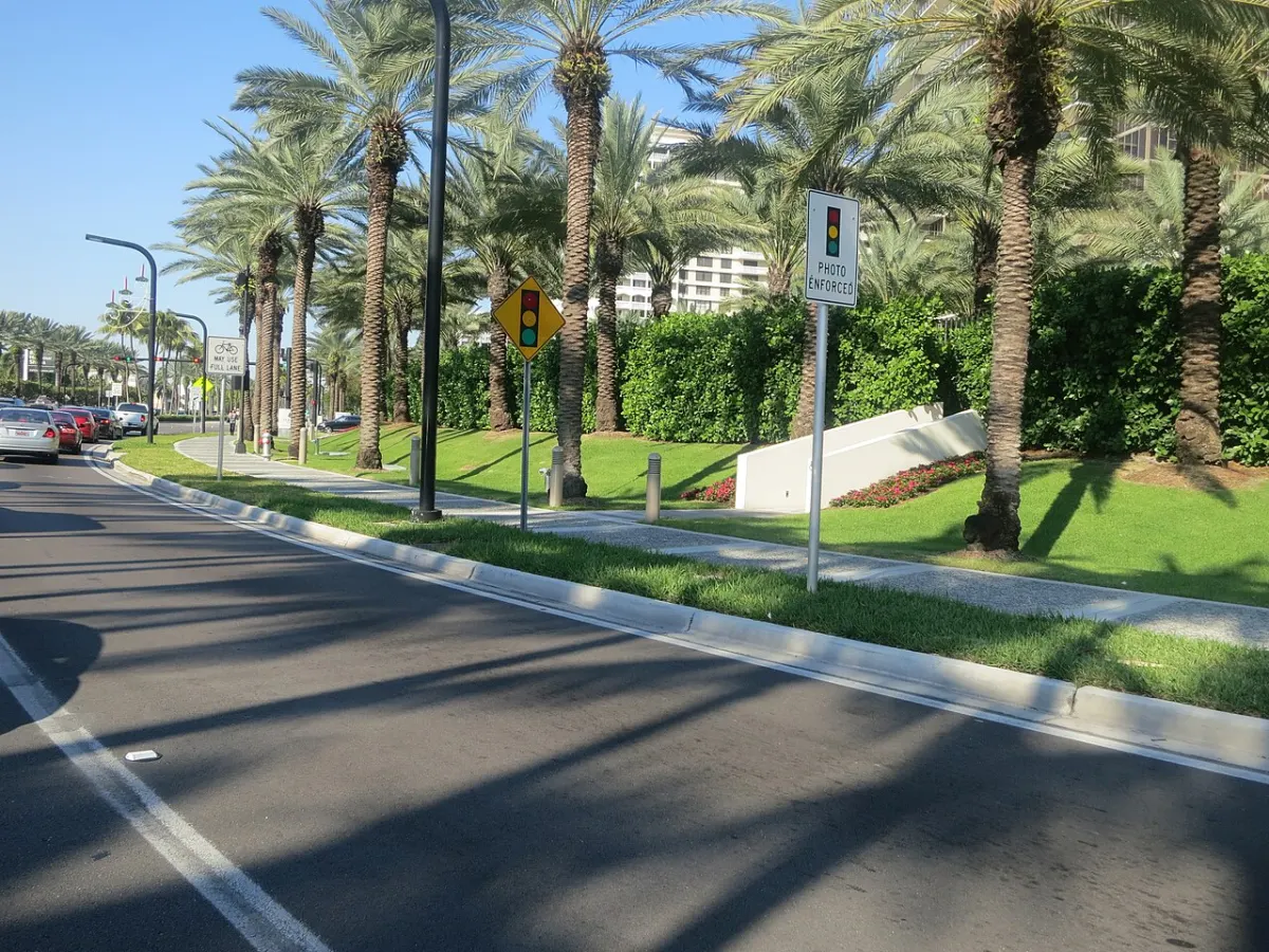 Palm-lined Ocean Boulevard running past hedged properties in Golden Beach